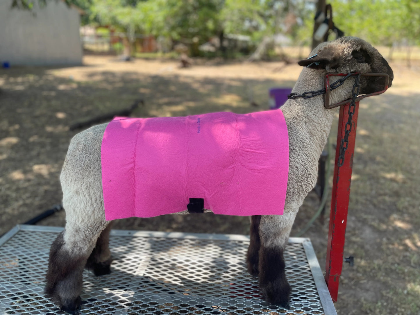Keep 'Em Fresh Towels
